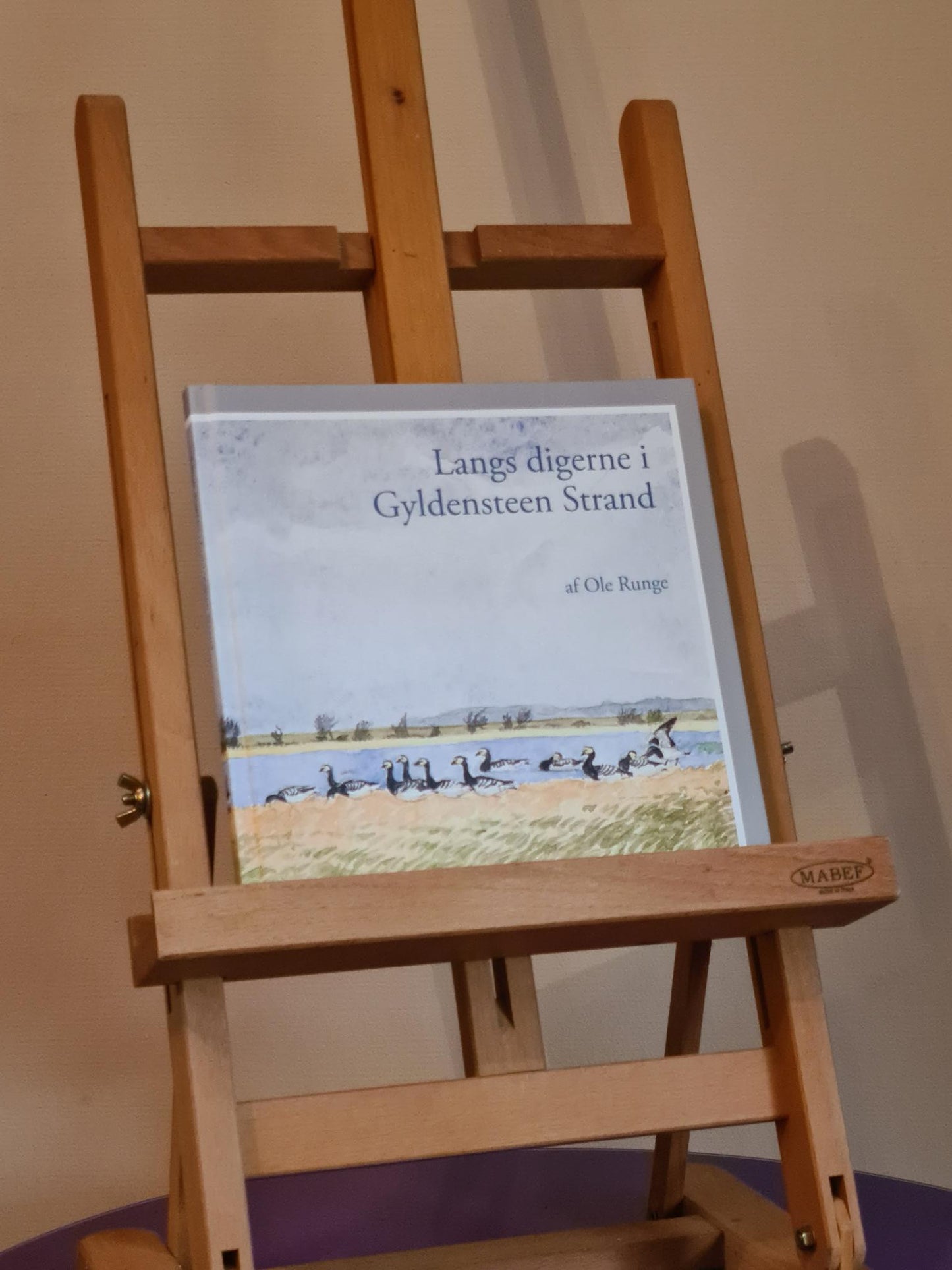 Langs digerne i Gyldensteen Strand