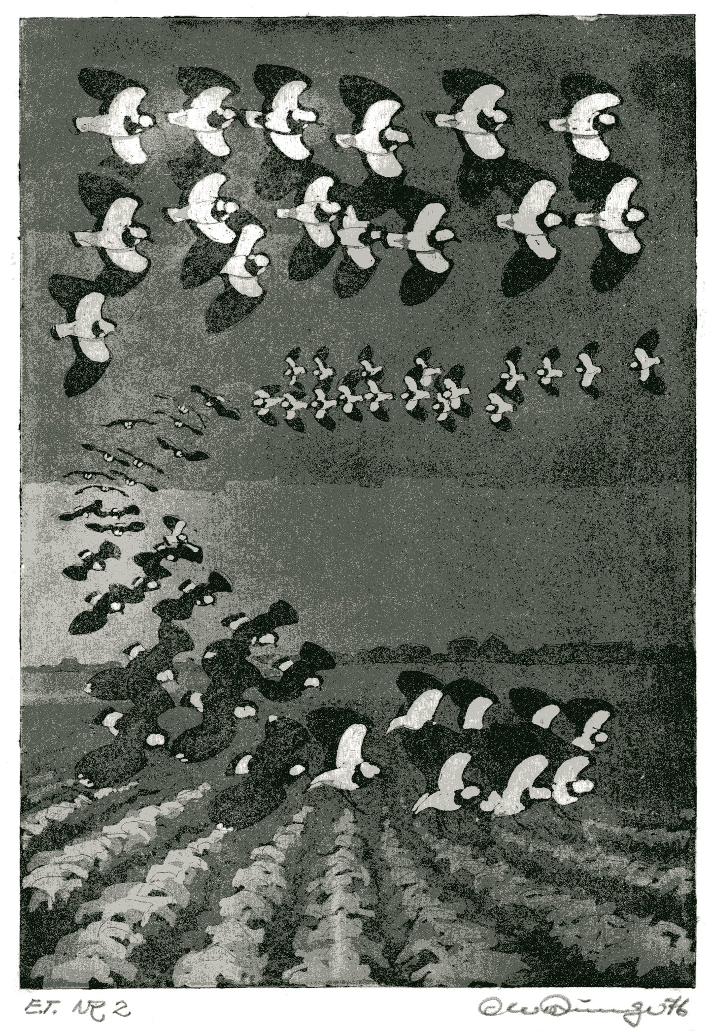 Ole Runge -billeder fra et langt liv